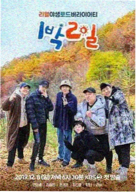 免费观看在线高清 声生不息